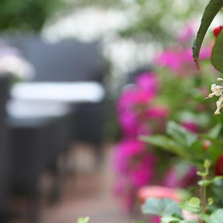 Hotel Charleston Spoleto Zewnętrze zdjęcie